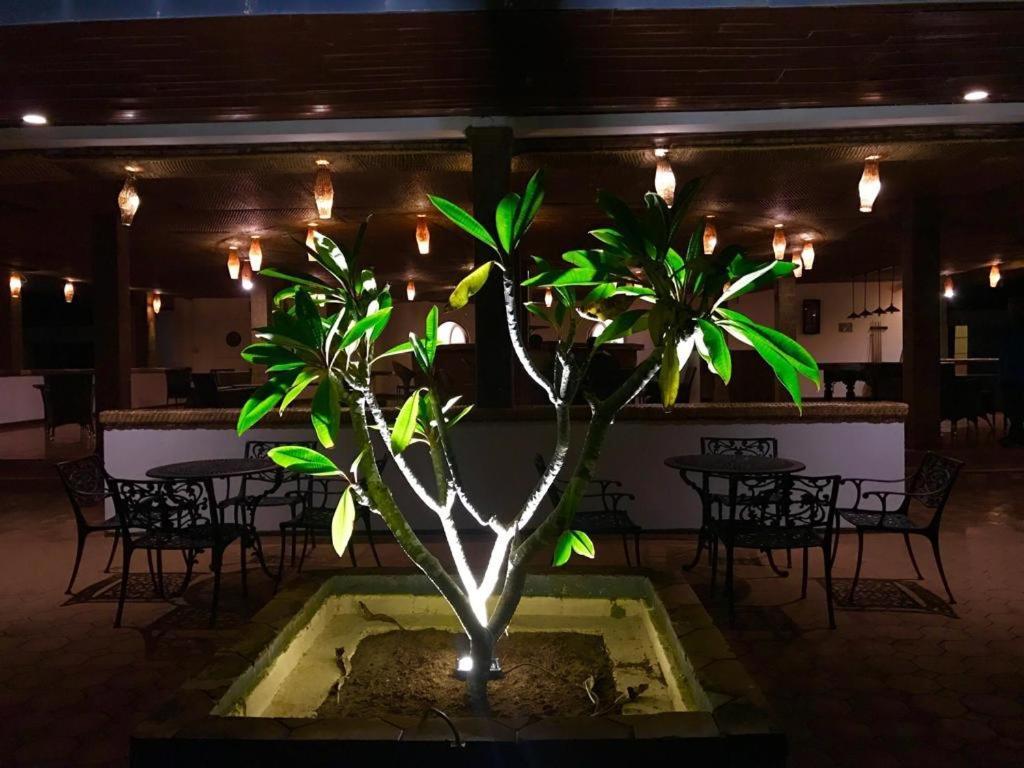 Peacock Beach Hotel Hambantota Ngoại thất bức ảnh