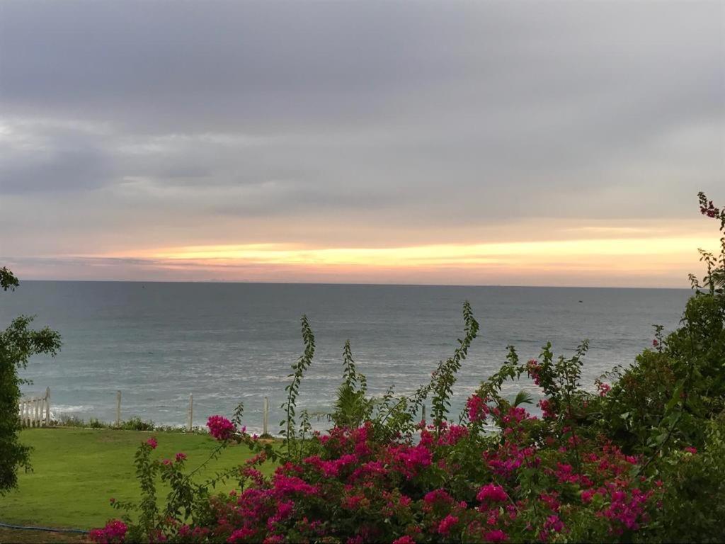 Peacock Beach Hotel Hambantota Ngoại thất bức ảnh